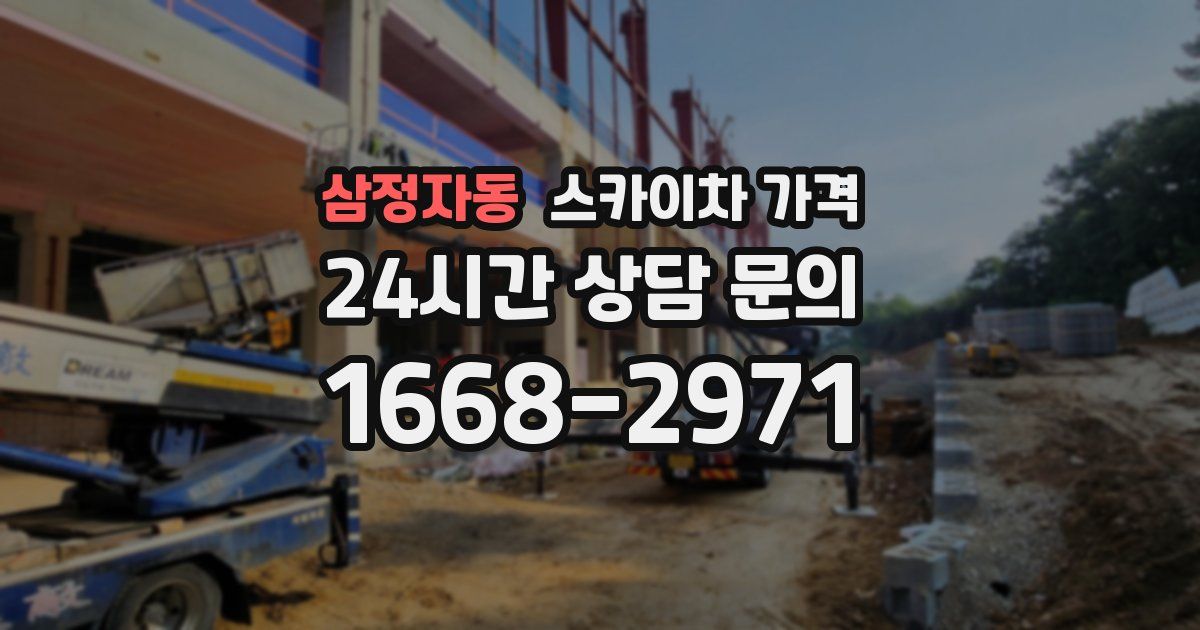 삼정자동 스카이차 가격