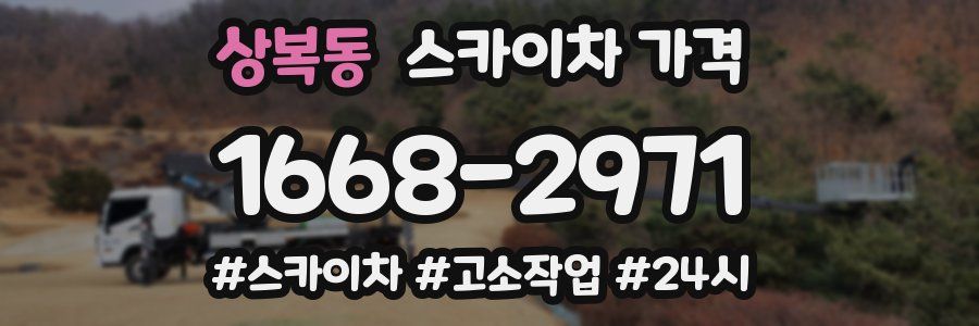 상복동 스카이차 가격