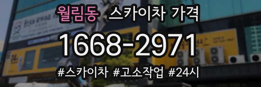 월림동 스카이차 가격