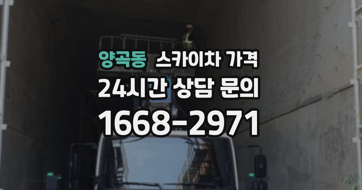 양곡동 스카이차 가격