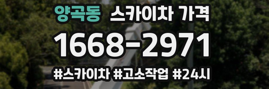 양곡동 스카이차 가격