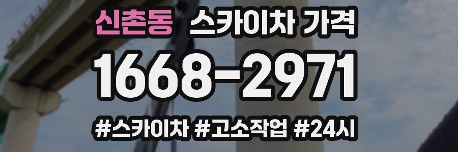 신촌동 스카이차 가격