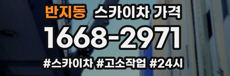 반지동 스카이차 가격