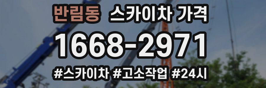 반림동 스카이차 가격