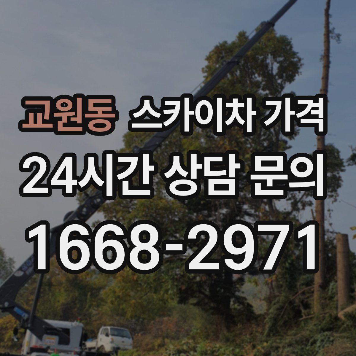 교원동 스카이차 가격