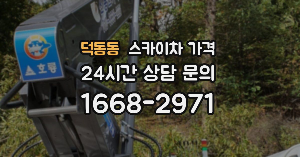 덕동동 스카이차 가격