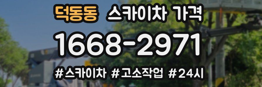 덕동동 스카이차 가격