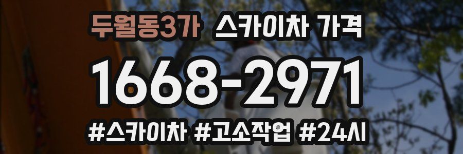 두월동3가 스카이차 가격
