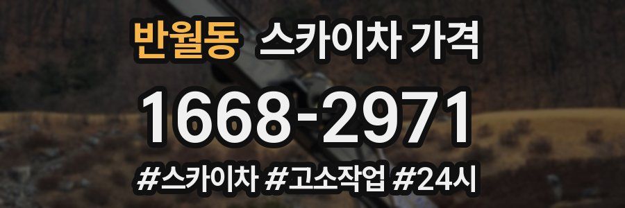 반월동 스카이차 가격