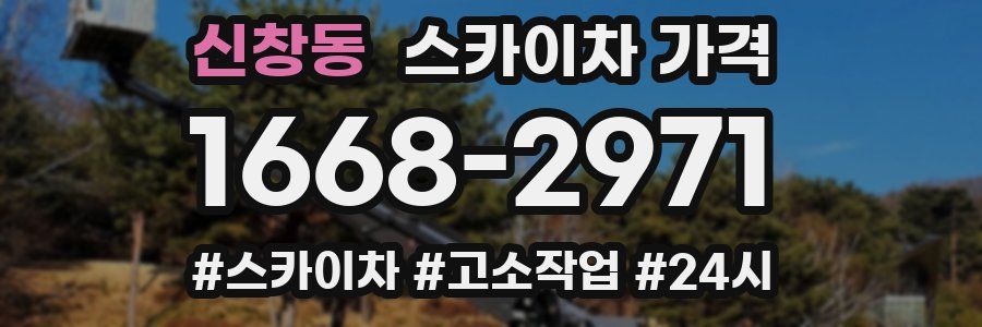 신창동 스카이차 가격