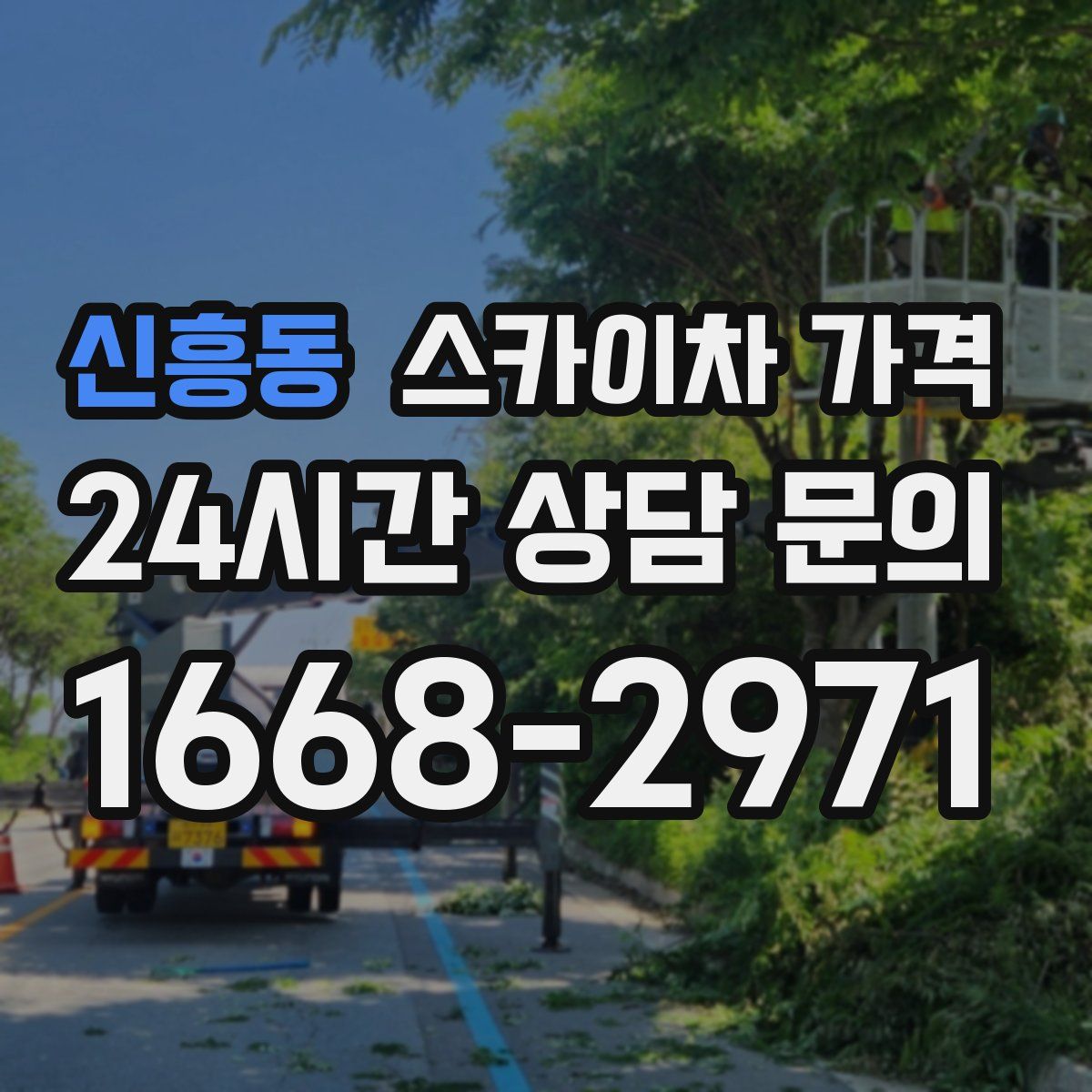 신흥동 스카이차 가격