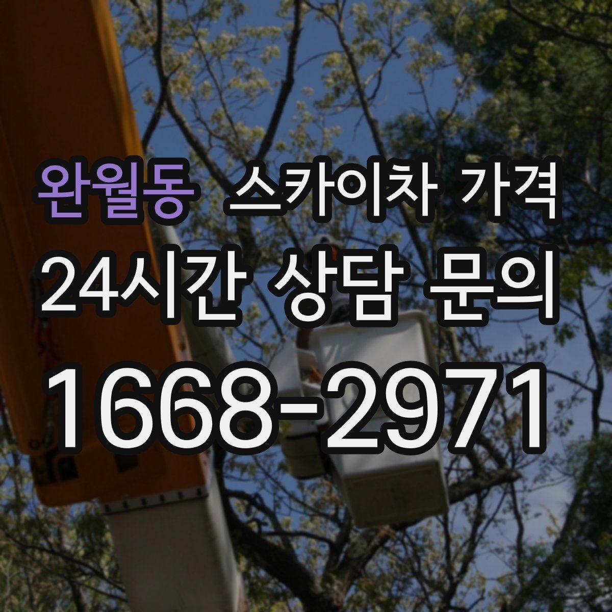 완월동 스카이차 가격 반나절 작업이 되는 순간은 언제일까