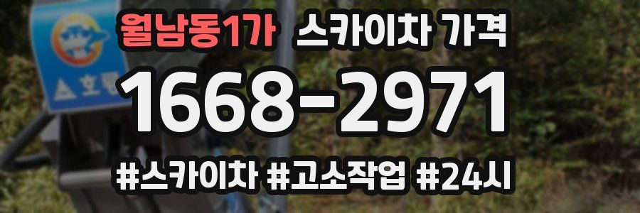 월남동1가 스카이차 가격