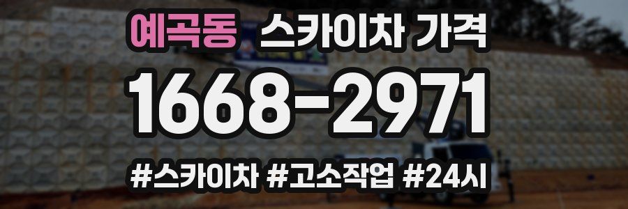 예곡동 스카이차 가격