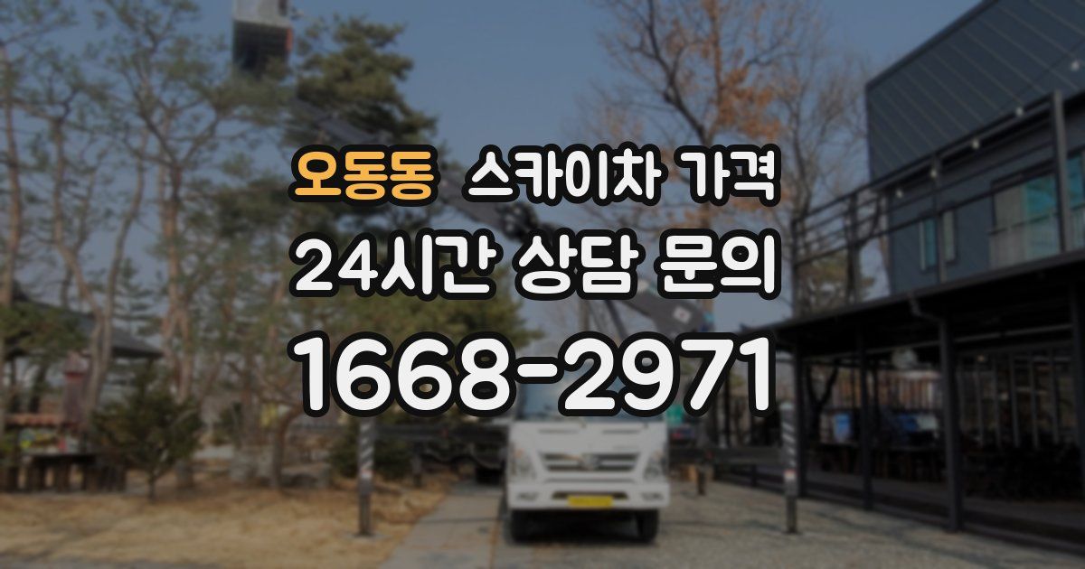 오동동 스카이차 가격