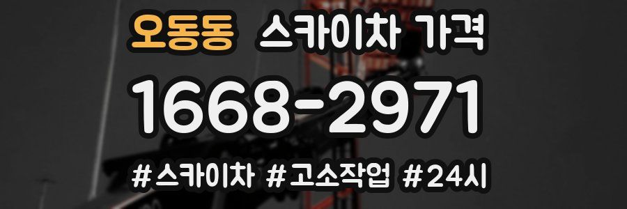 오동동 스카이차 가격