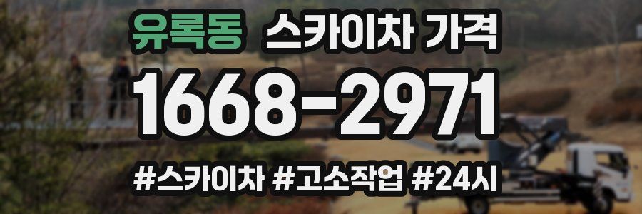 유록동 스카이차 가격