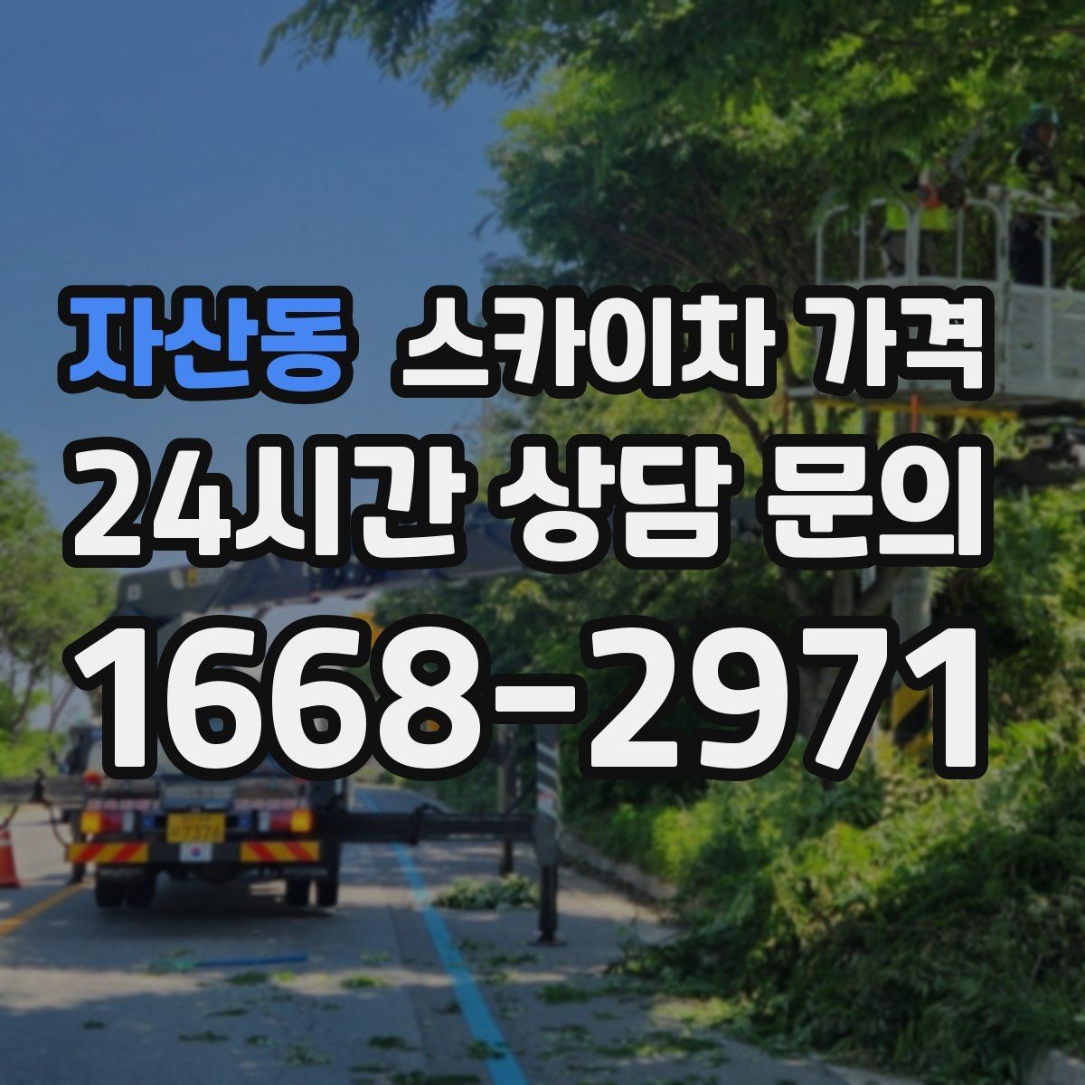 자산동 스카이차 가격 현장 조건별 가격 포인트를 한 번에 정리