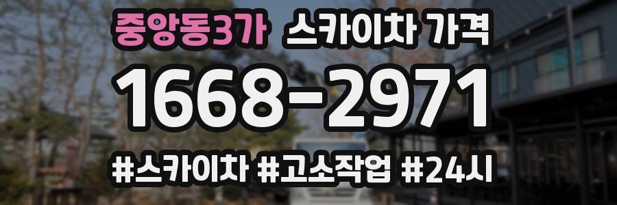 중앙동3가 스카이차 가격