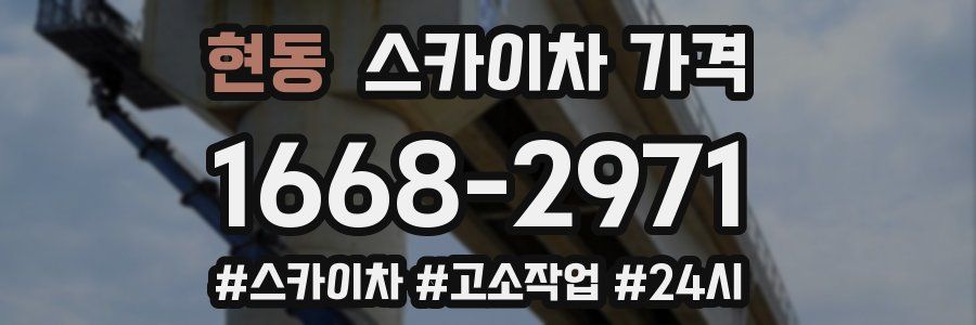 현동 스카이차 가격