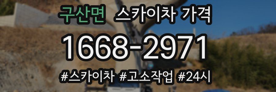 구산면 스카이차 가격