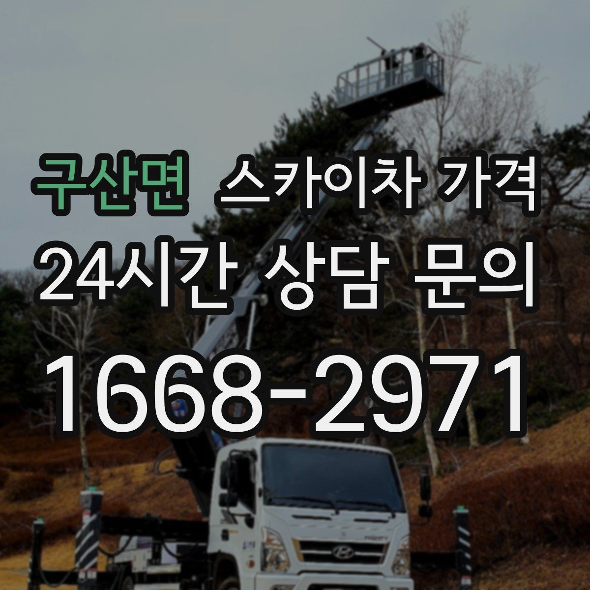 구산면 스카이차 가격