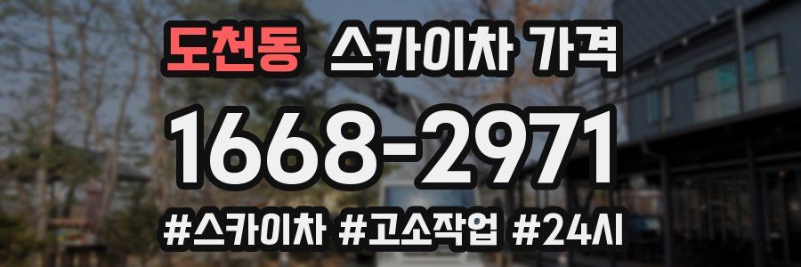 도천동 스카이차 가격