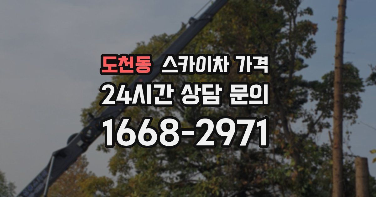 도천동 스카이차 가격