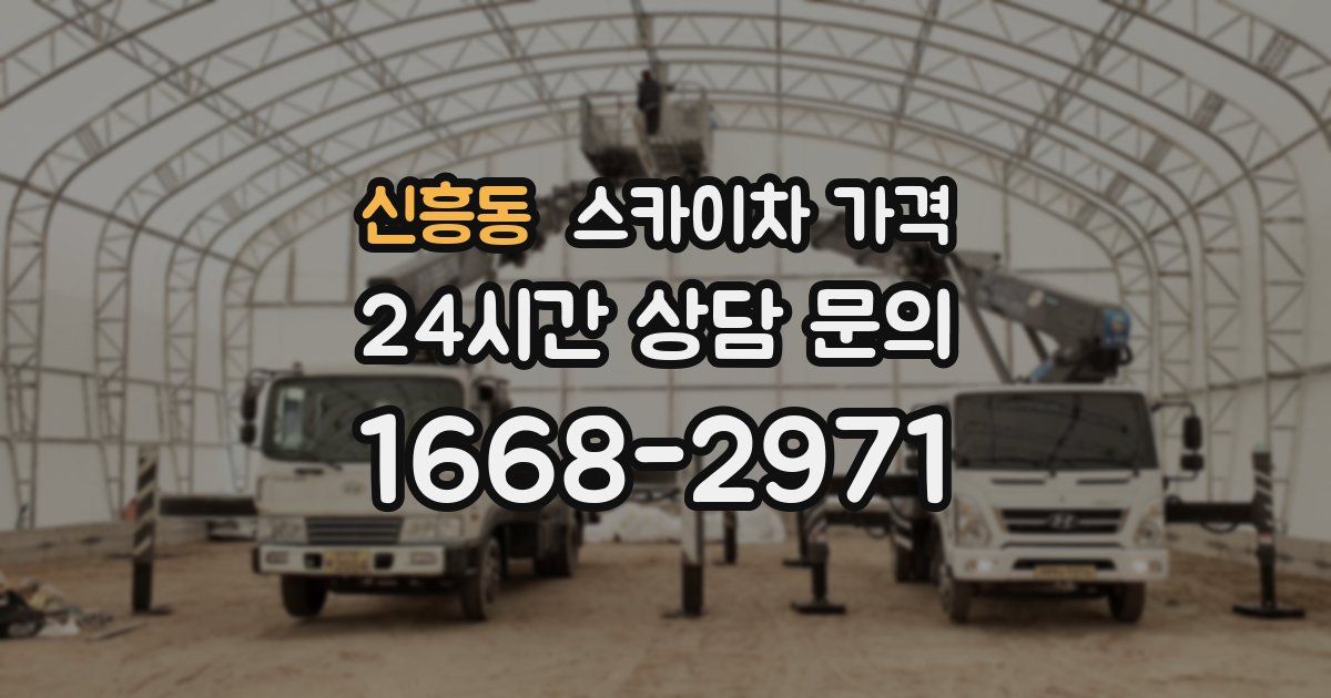 신흥동 스카이차 가격