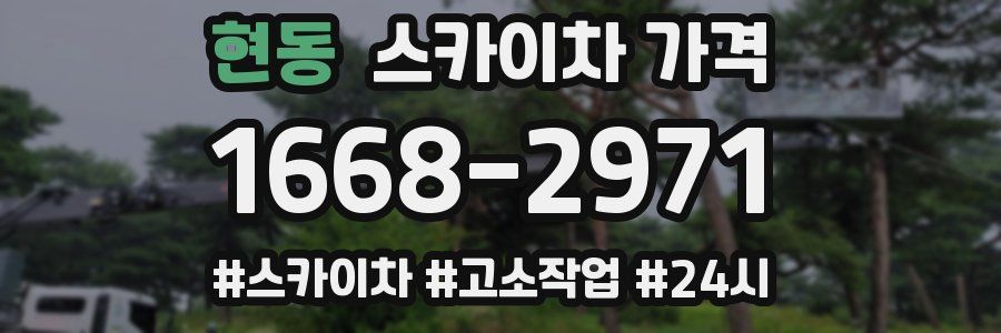 현동 스카이차 가격