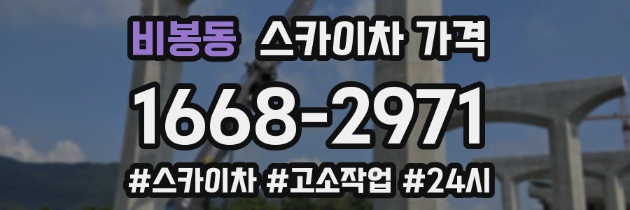 비봉동 스카이차 가격