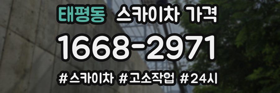 태평동 스카이차 가격