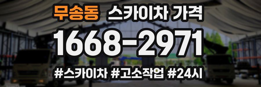 무송동 스카이차 가격