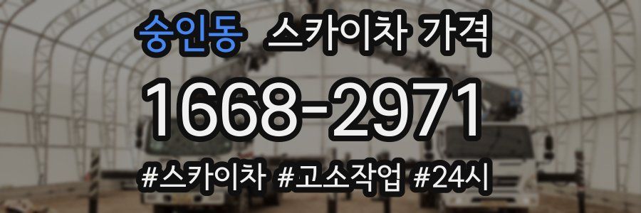 숭인동 스카이차 가격