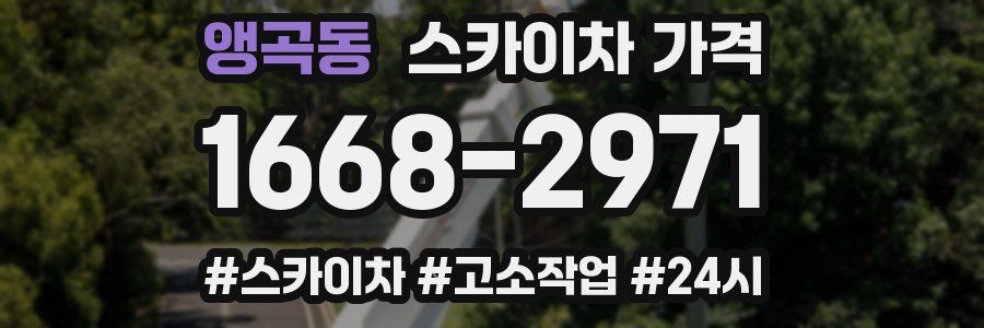 앵곡동 스카이차 가격