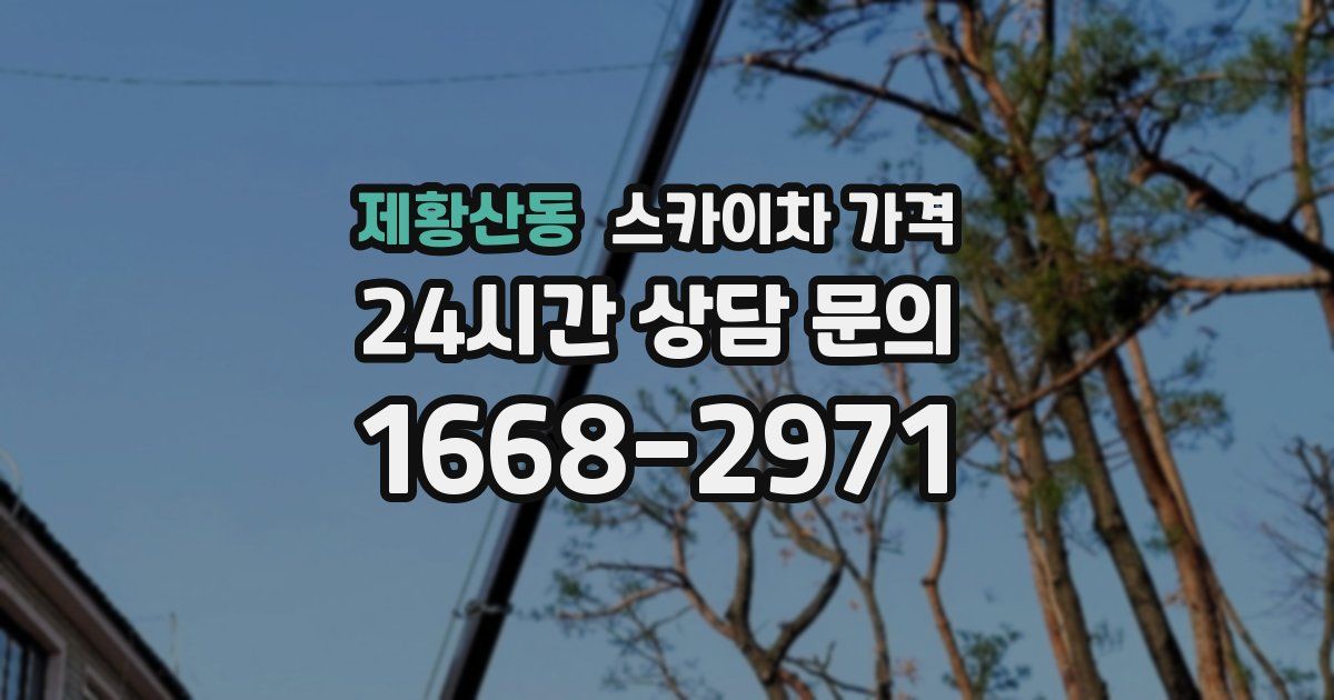 제황산동 스카이차 가격