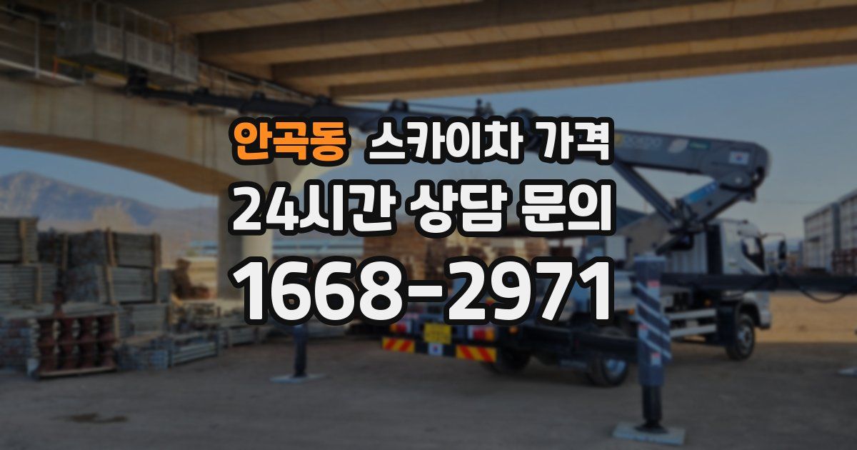 안곡동 스카이차 가격