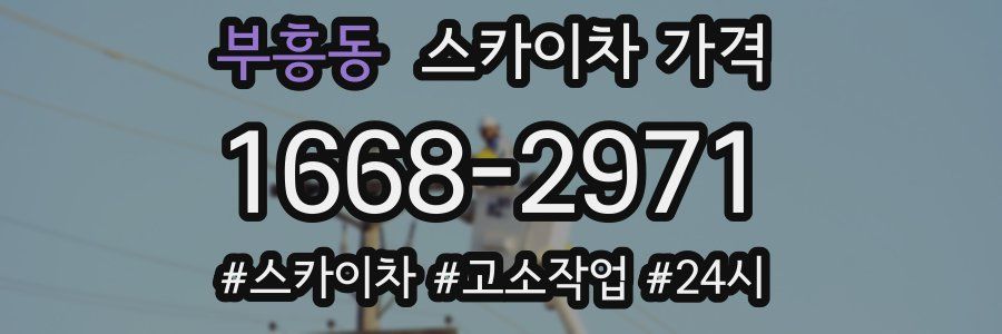 부흥동 스카이차 가격