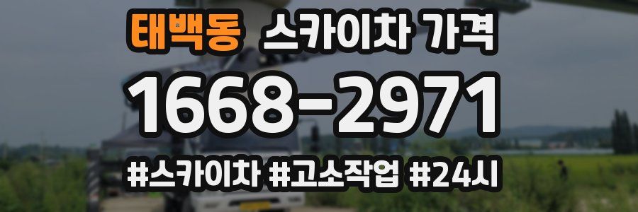 태백동 스카이차 가격