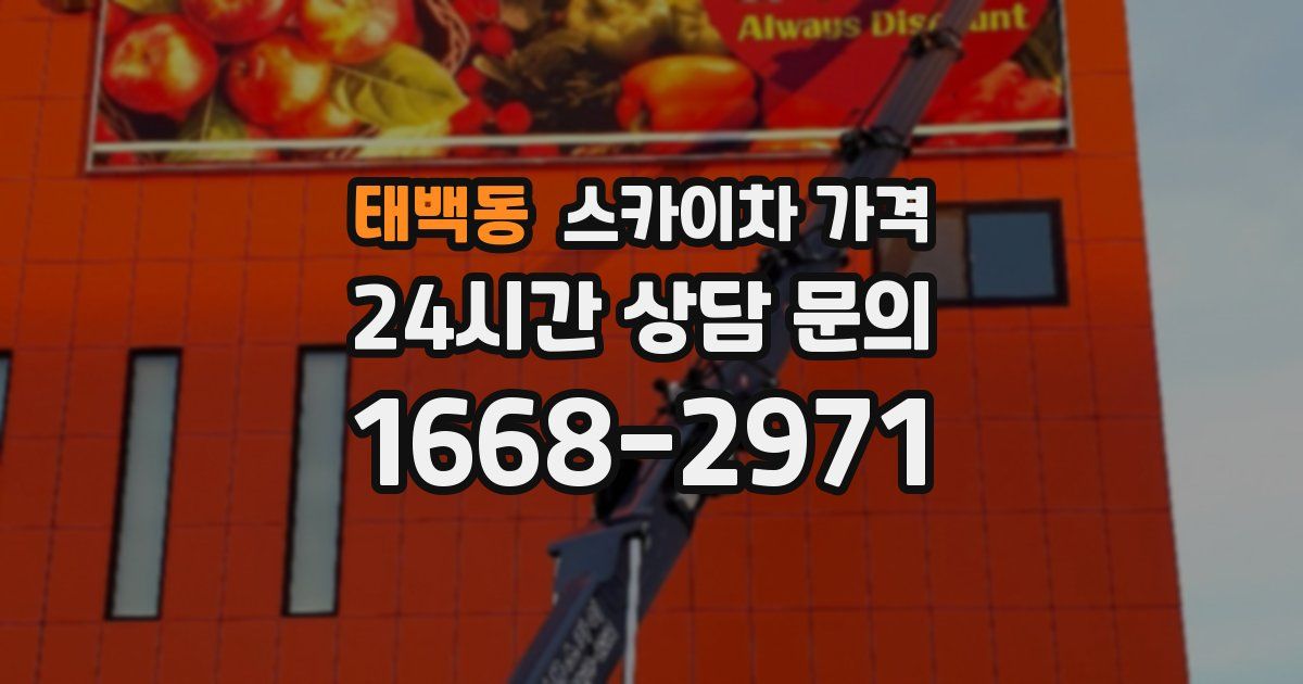 태백동 스카이차 가격