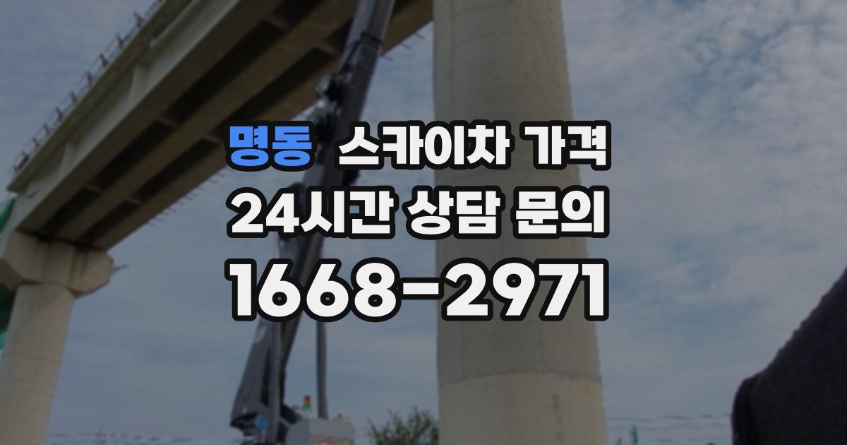 명동 스카이차 가격