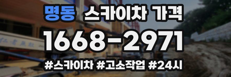 명동 스카이차 가격