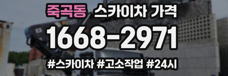 죽곡동 스카이차 가격