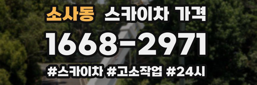 소사동 스카이차 가격