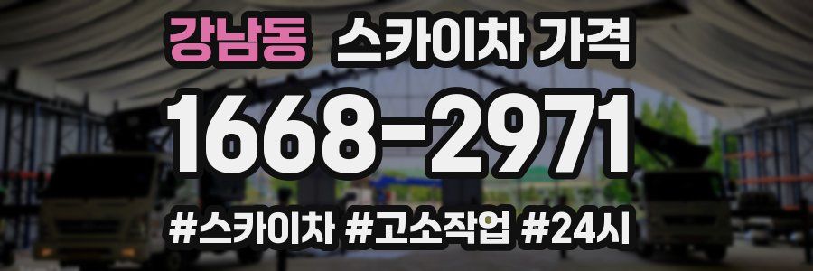 강남동 스카이차 가격