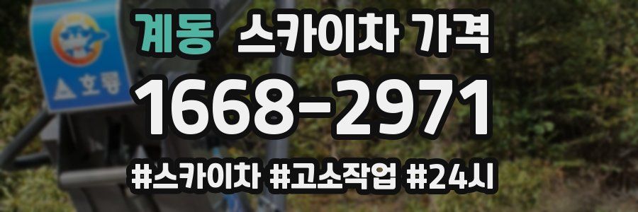 계동 스카이차 가격