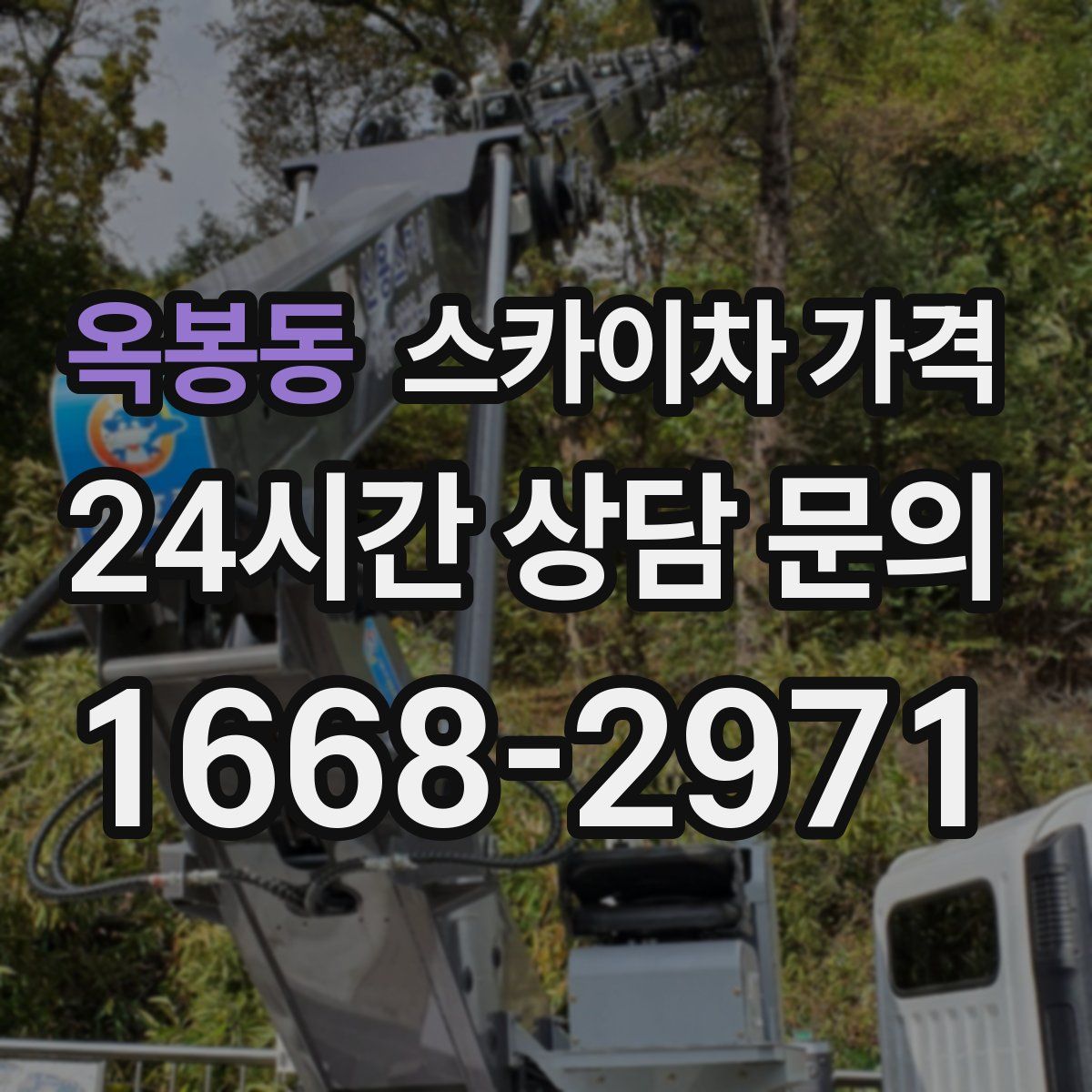 옥봉동 스카이차 가격