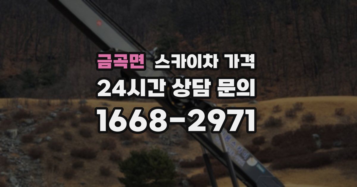 금곡면 스카이차 가격
