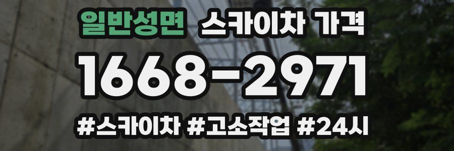 일반성면 스카이차 가격