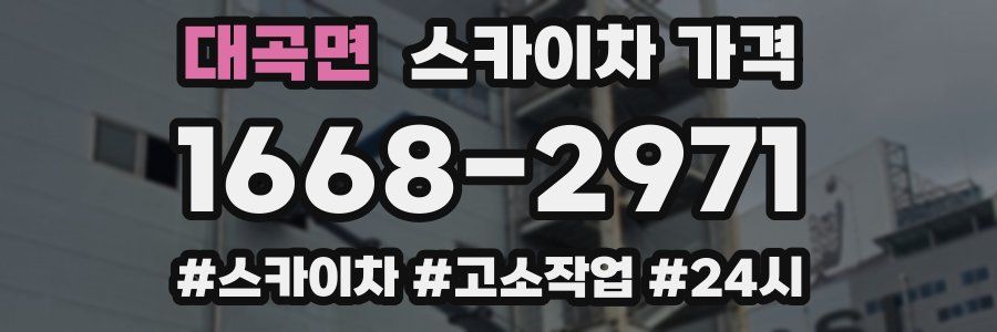 대곡면 스카이차 가격